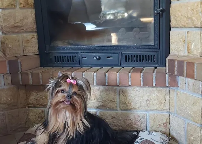 Calma Private Pool By Holidays *