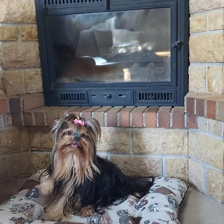 Calma Private Pool By Holidays *