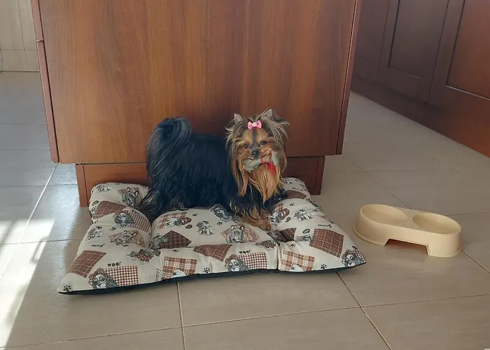 Calma Private Pool By Holidays 빌라 *